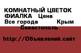 КОМНАТНЫЙ ЦВЕТОК -ФИАЛКА › Цена ­ 1 500 - Все города  »    . Крым,Севастополь